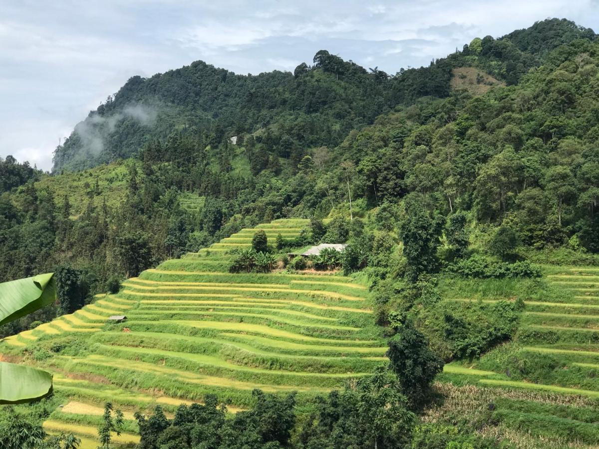 So H'Mong Homestay Bac Ha  Luaran gambar