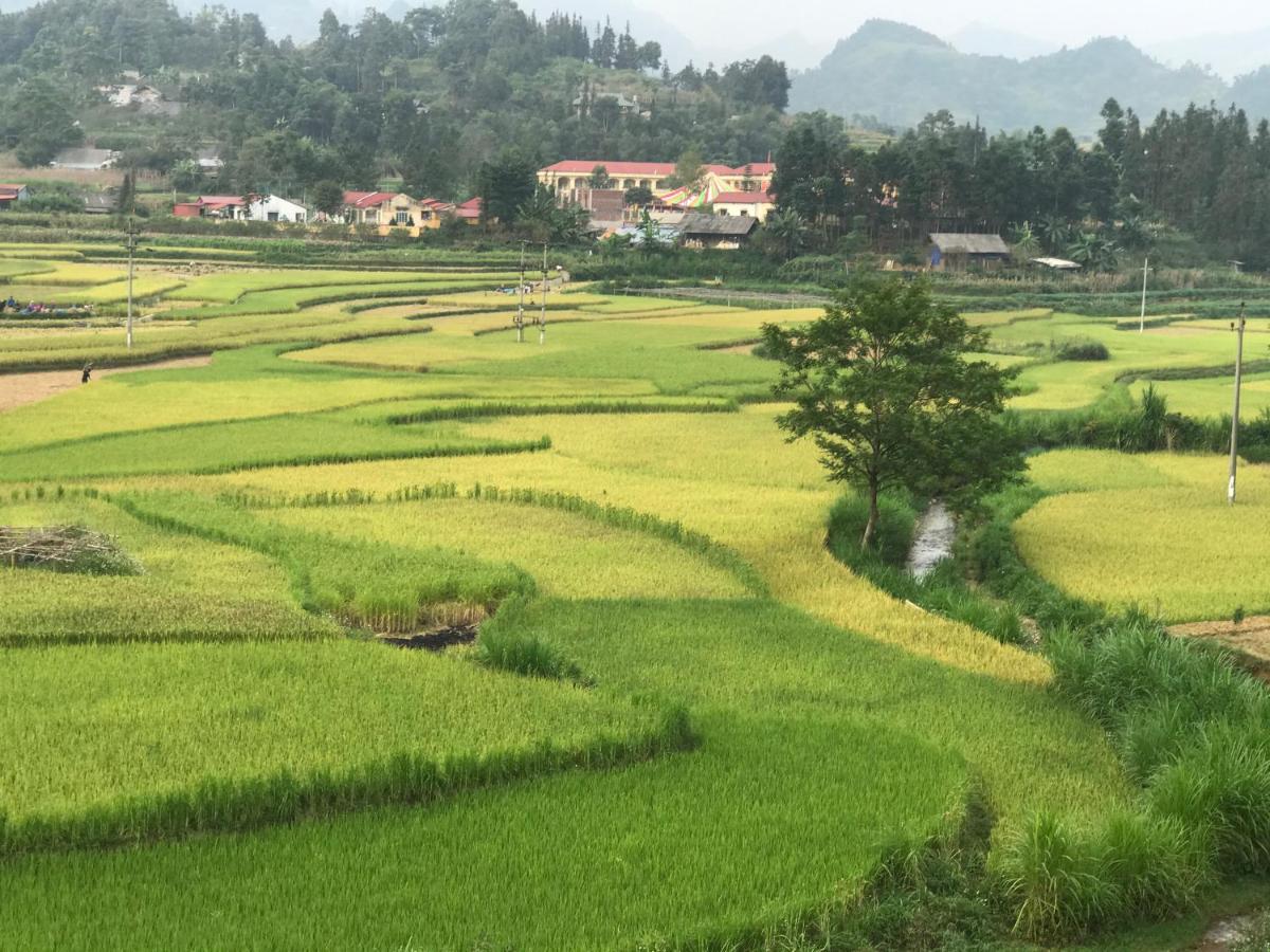 So H'Mong Homestay Bac Ha  Luaran gambar