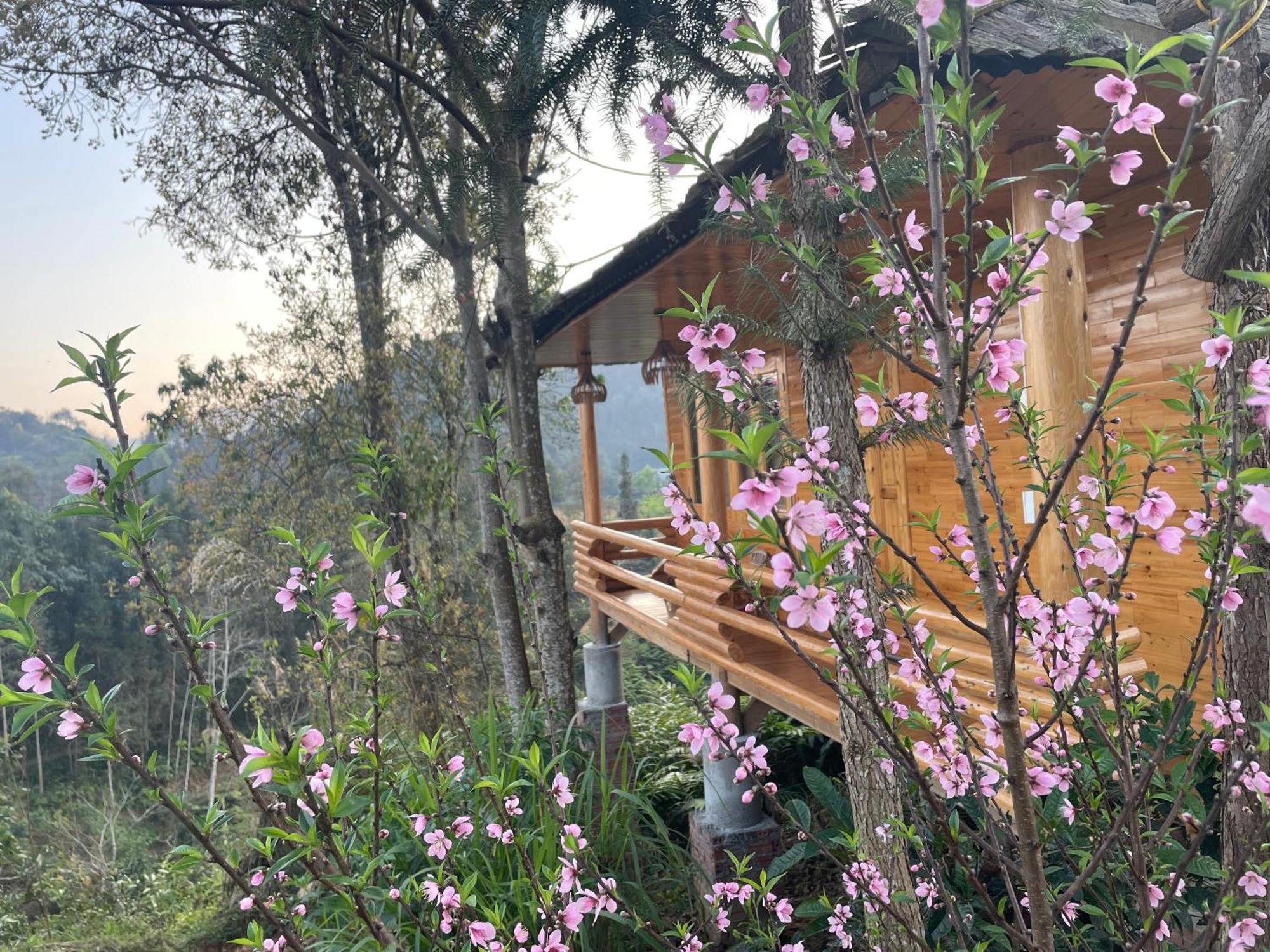 So H'Mong Homestay Bac Ha  Luaran gambar