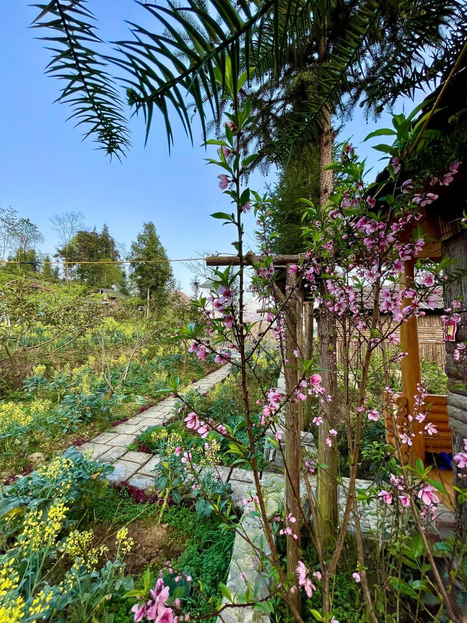 So H'Mong Homestay Bac Ha  Luaran gambar